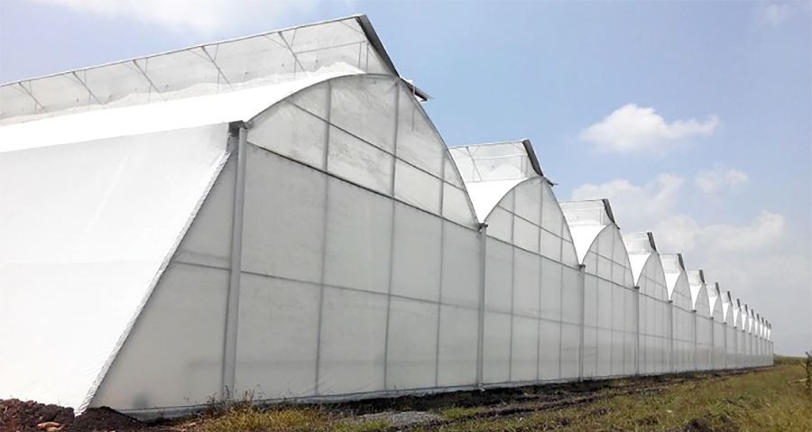 china uv resistant clear plastic sheeting