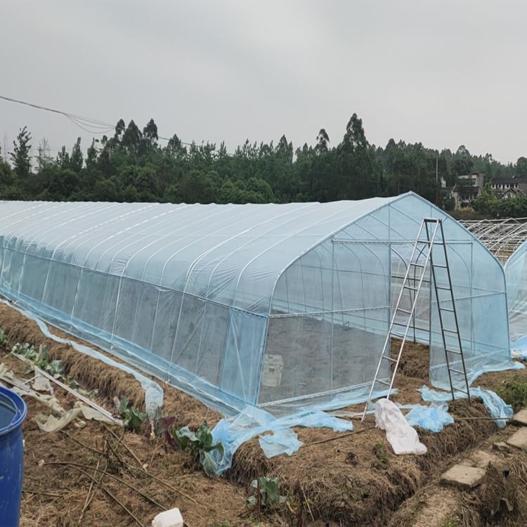 Tunnel Plastic Greenhouse Tunnel Plastic Greenhouse