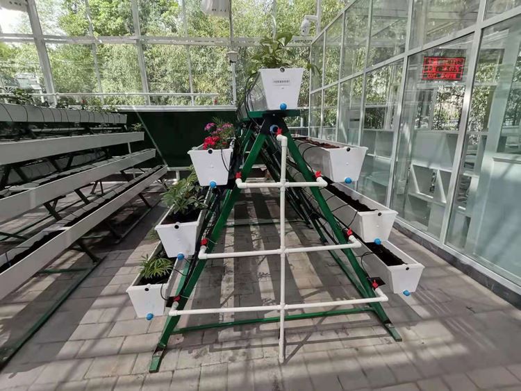 Glass Greenhouses Project