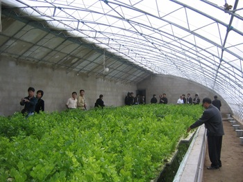 The difference between heating solar greenhouse pr The difference between heating solar greenhouse pr