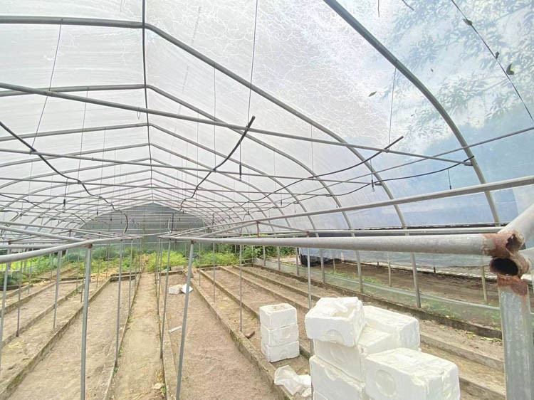 Agricultural Greenhouse
