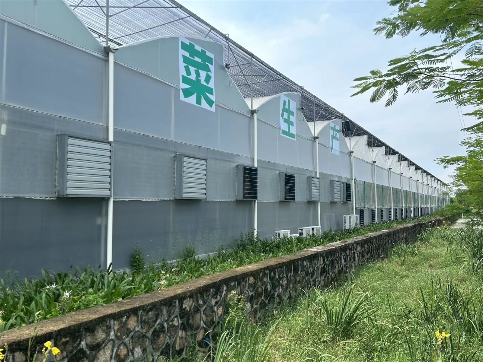 Zigzag Greenhouse