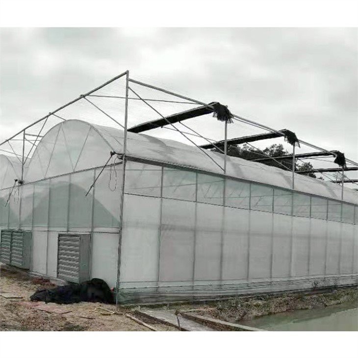 double layer greenhouse plastic supplier