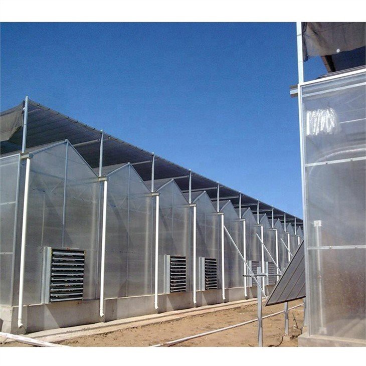 Venlo Style Glass Agricultural Greenhouse factory