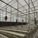 Córas Hydroponic Cheaptha Teasa